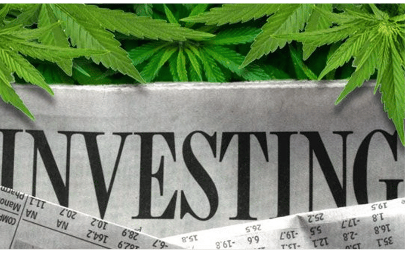 Investimento verde-Estimativa de vendas no setor natural de Cannabis é promissor até 2025